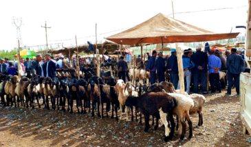 Kashgar travel