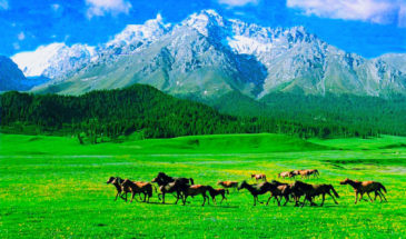 urumqi travel