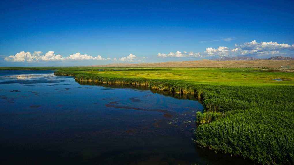 Korla travel