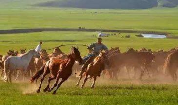 Travel to Inner Mongolia