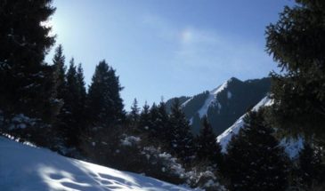 Xinjiang ski tours