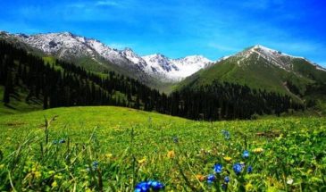 Xinjiang ski tours
