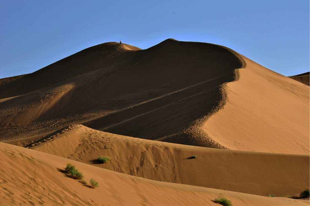Desert