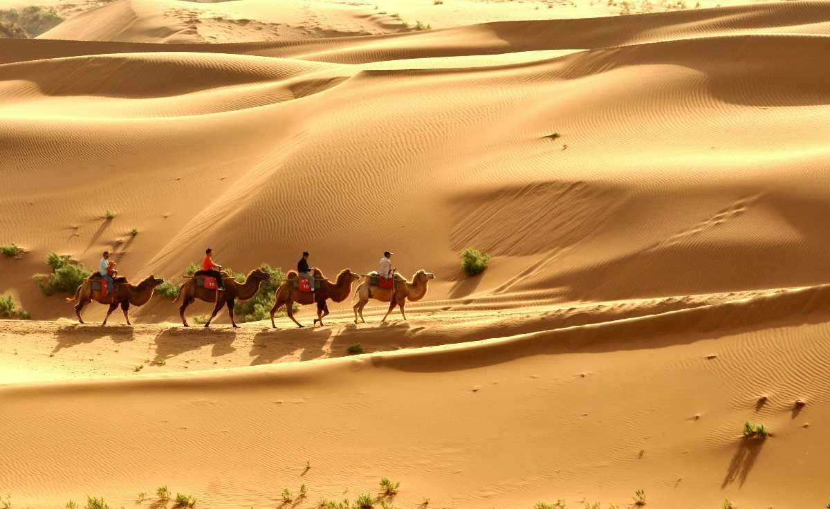 1 Day Kashgar Tour to Taklamakan Desert