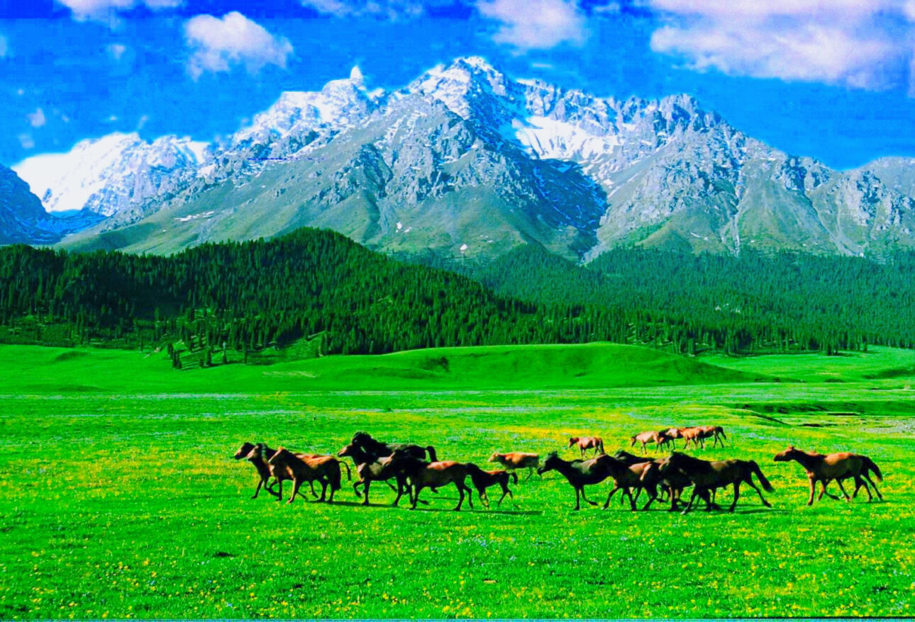 urumqi Nanshan