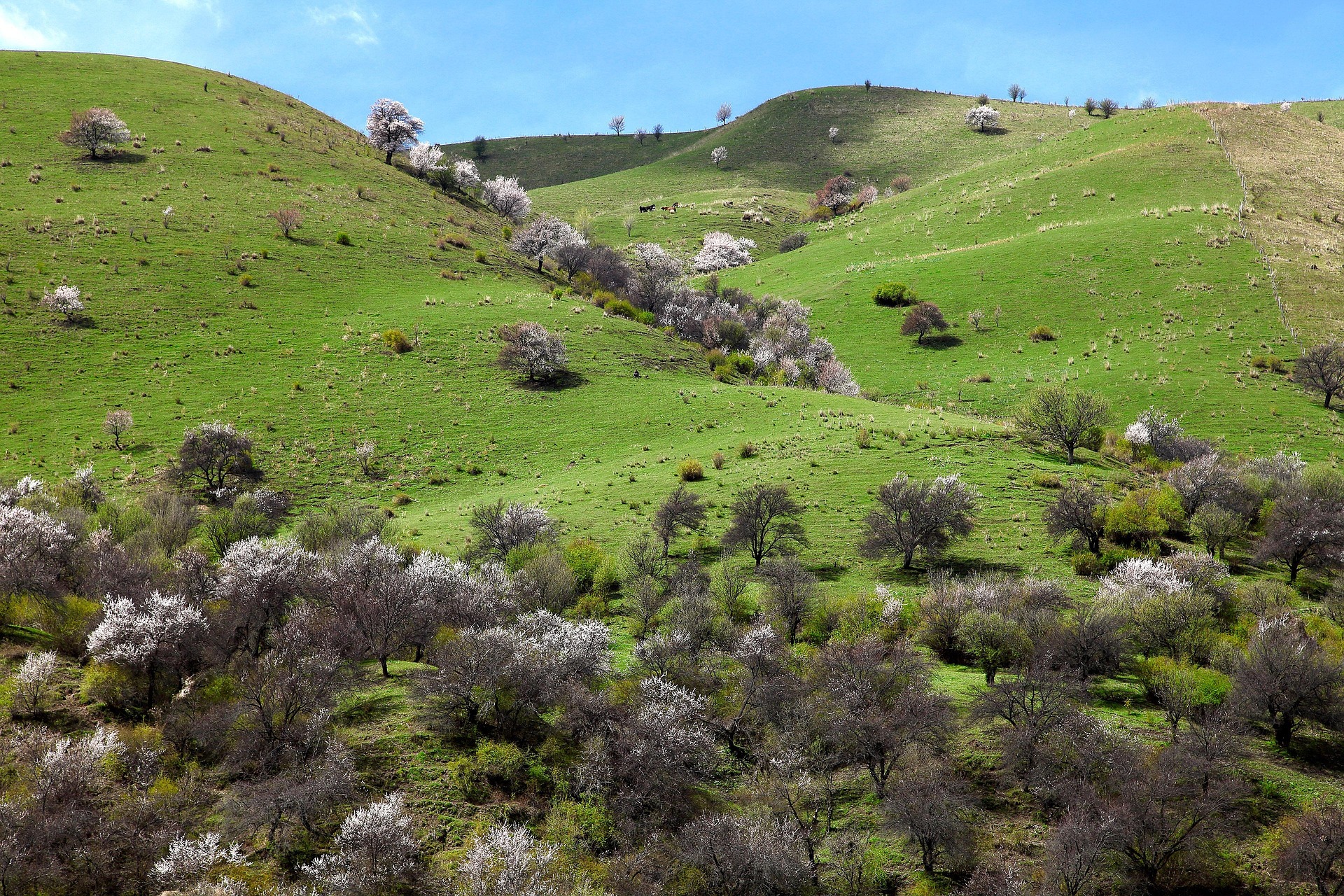 9 Days Turpan & Ili North Xinjiang Tour via Du-Ku Road